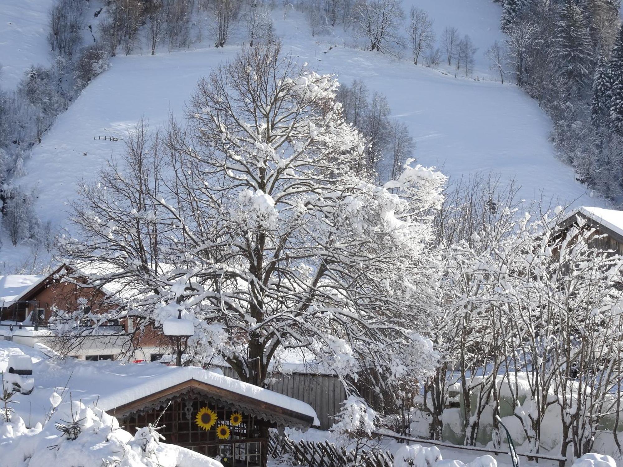 Apartment Gaestehaus Luggau Раурис Екстериор снимка